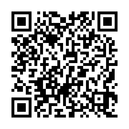 QR code for LAI933