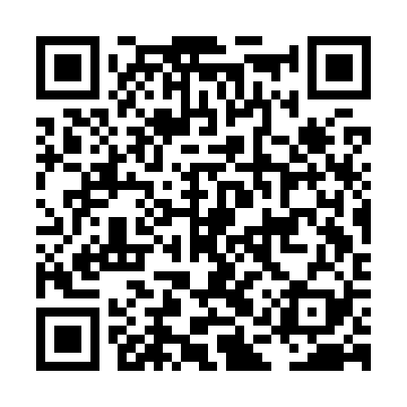 QR code for LASK29
