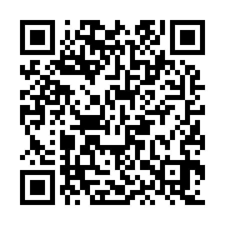 QR code for LAV933