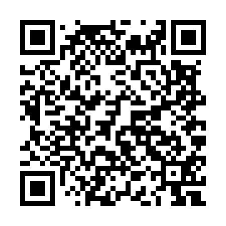 QR code for LAVM11