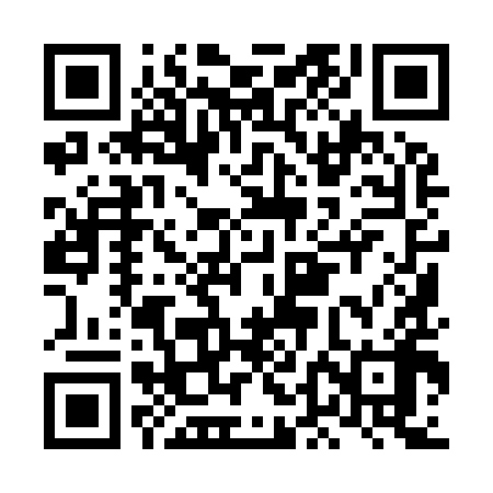 QR code for LDI998