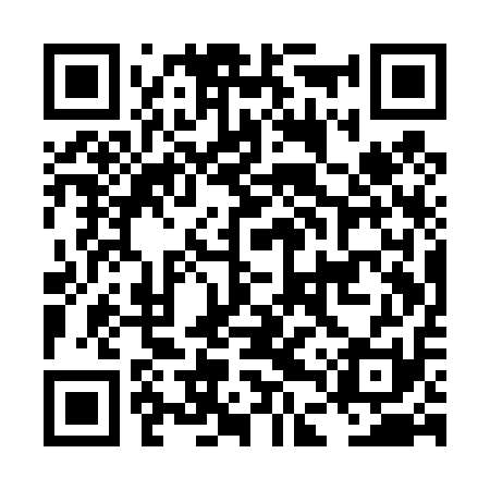 QR code for LDQT11