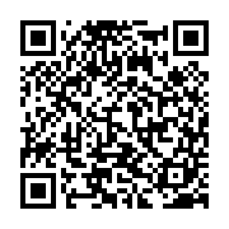 QR code for LDU041