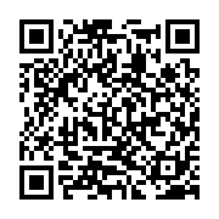 QR code for LDU311