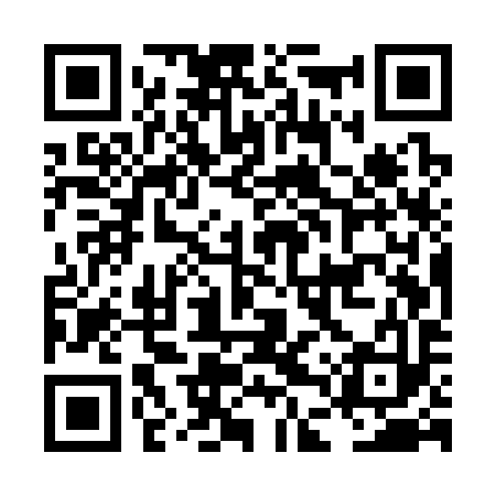 QR code for LDUS93