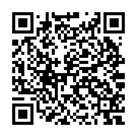 QR code for LDVR13