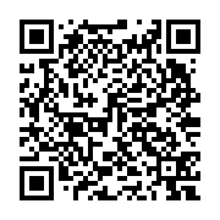 QR code for LDZV31
