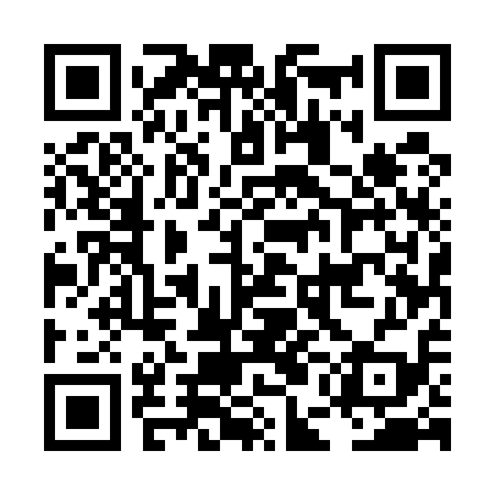 QR code for LEE519