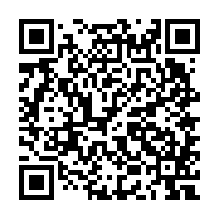 QR code for LEE685