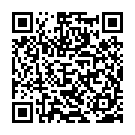 QR code for LEZR95