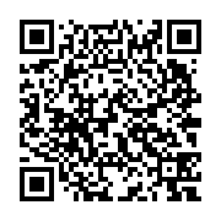 QR code for LFLV38