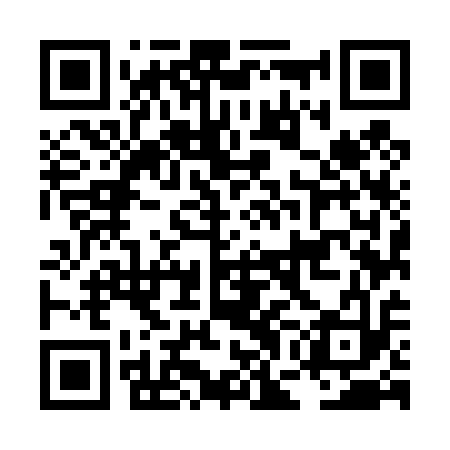 QR code for LGM413