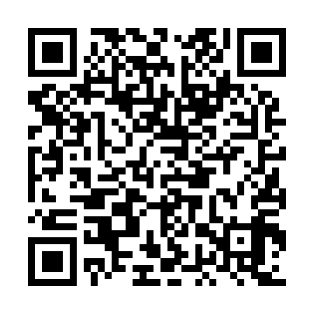 QR code for LGV919