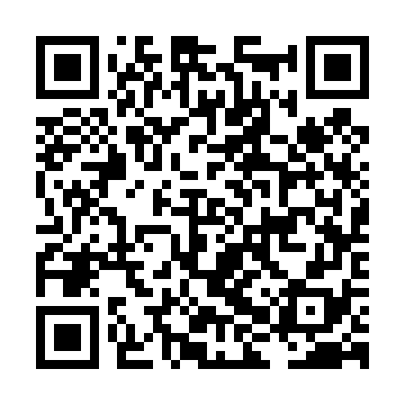 QR code for LHS478