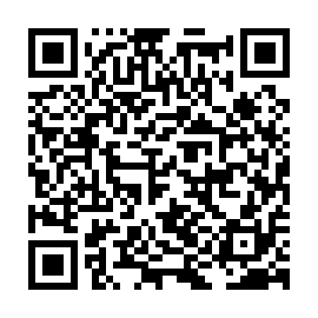 QR code for LIE110