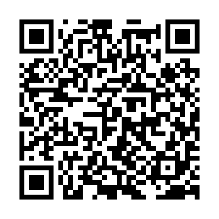 QR code for LIE290