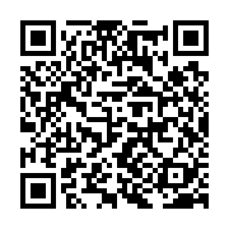 QR code for LIFW29