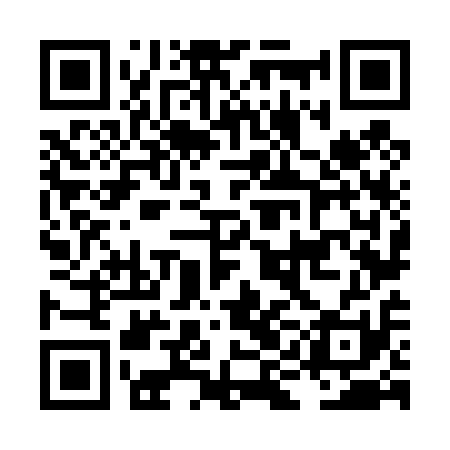 QR code for LIN411