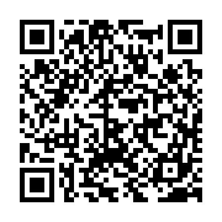 QR code for LIR377