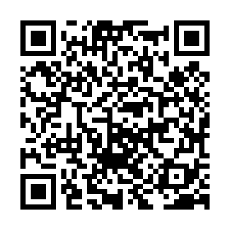 QR code for LIZ479