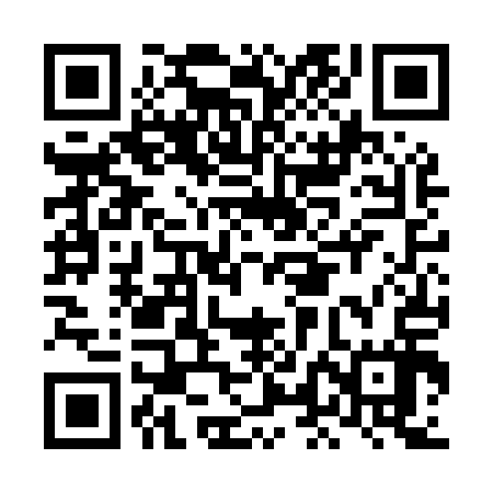 QR code for LLFM17