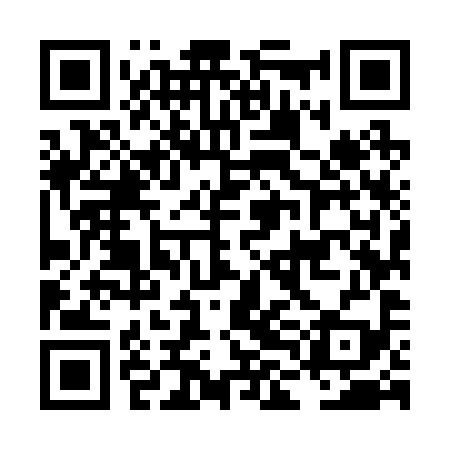 QR code for LLM299