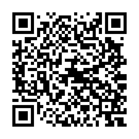 QR code for LMFP41