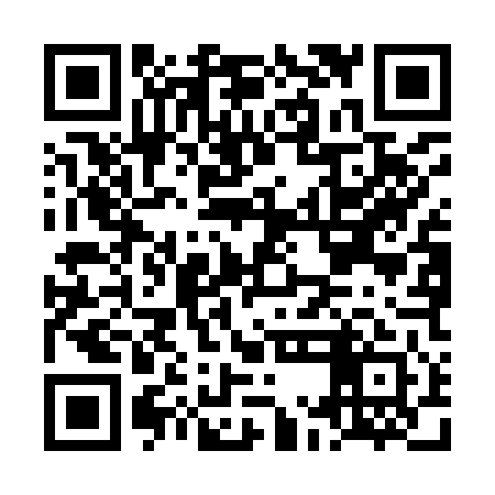 QR code for LMMI41