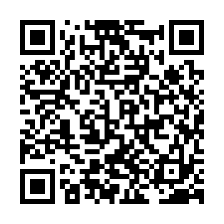 QR code for LNI333