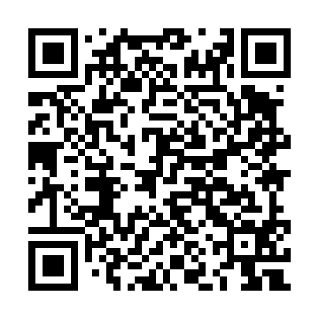 QR code for LNY494