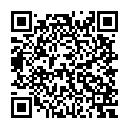 QR code for LOM541