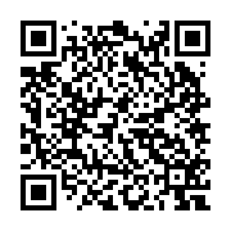 QR code for LOZ216