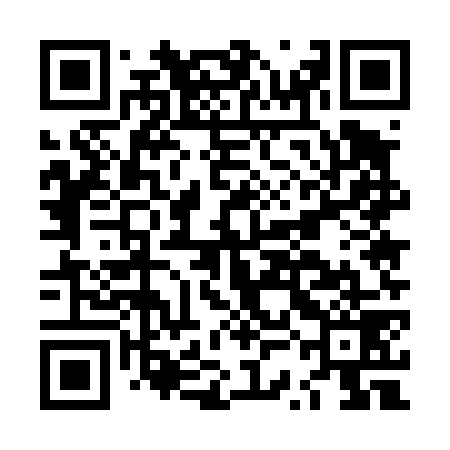 QR code for LSE479