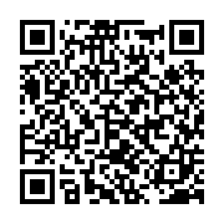 QR code for LUM203