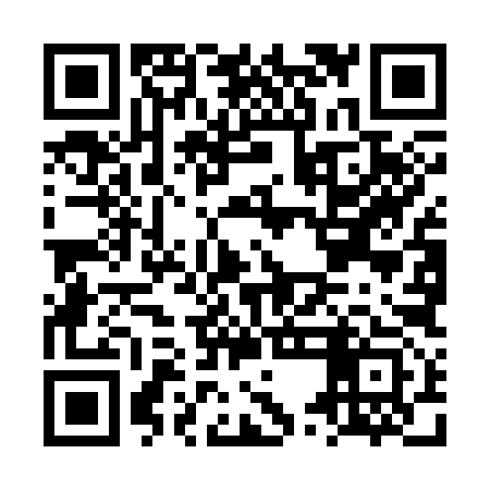 QR code for LUMC93