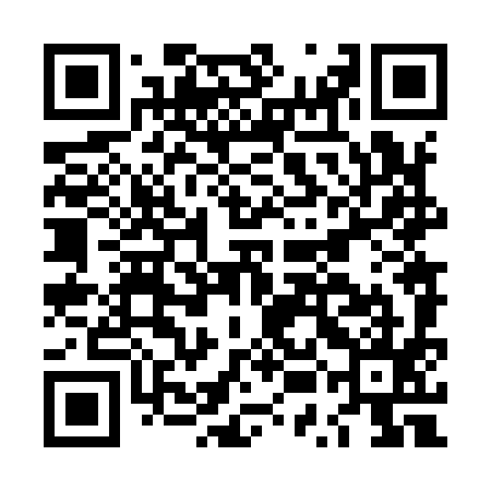 QR code for LUN995