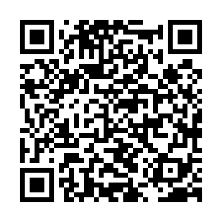 QR code for LUX579