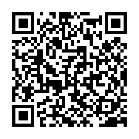 QR code for LVYT29