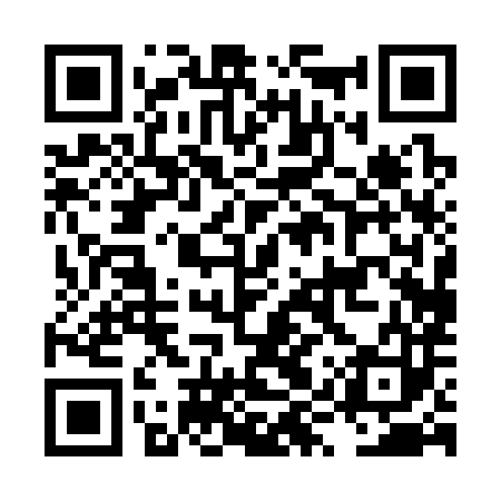 QR code for LYP383
