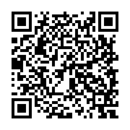 QR code for LZD996
