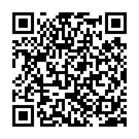 QR code for LZGV31