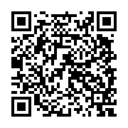 QR code for LZN493