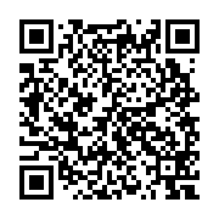QR code for LZR399