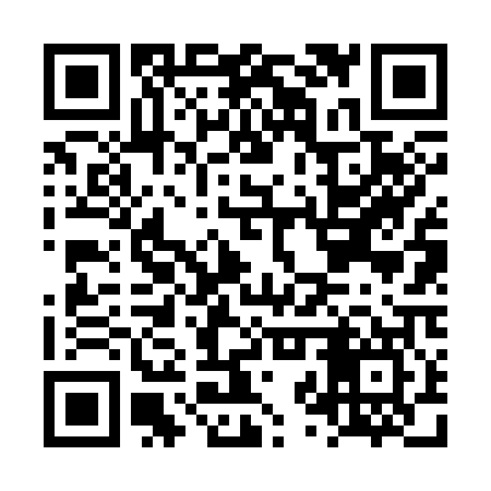 QR code for LZV307