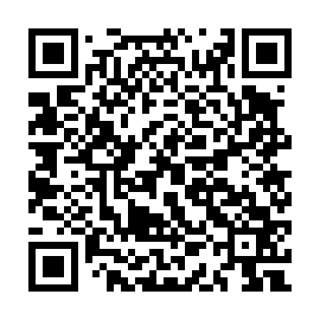QR code for MAG463