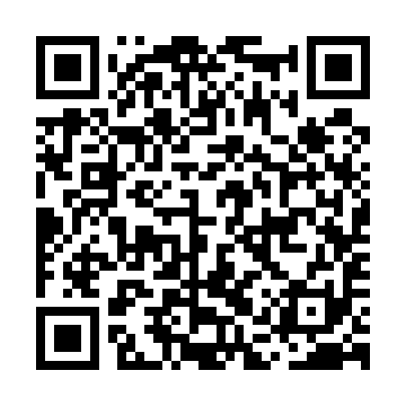 QR code for MAS591