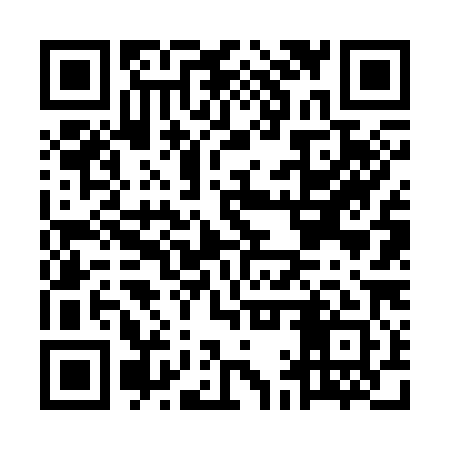 QR code for MAV381