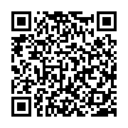 QR code for MAX338