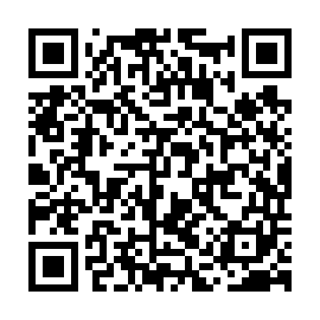 QR code for MAXV41