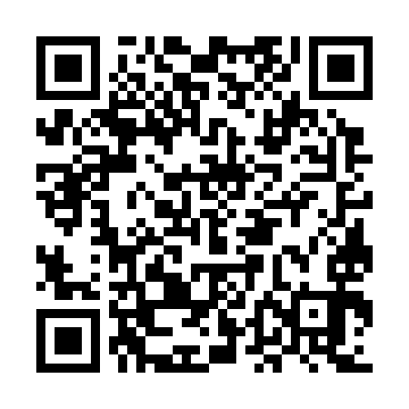 QR code for MDG393